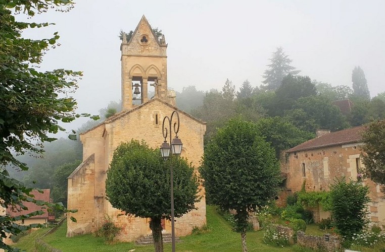 les cèdres Saint Marcel du Périgord 8