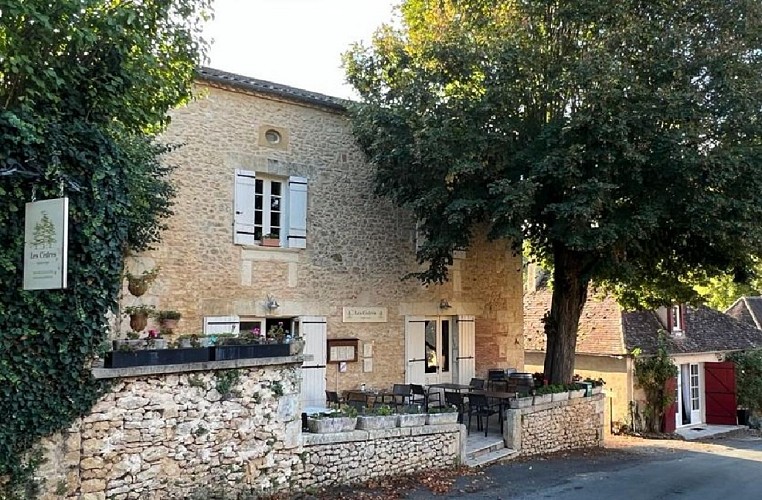 les cèdres Saint Marcel du Périgord