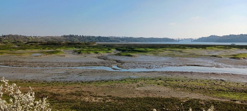 Camp Vicking ou enceinite médiévale?