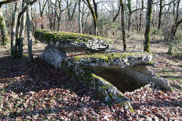 La Tombe du Géant - Dolmen (Sépulture collective de 2500 à 1700 avant J-C)
