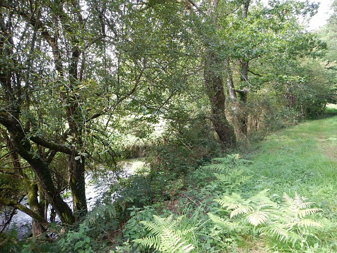 La rivière Arz