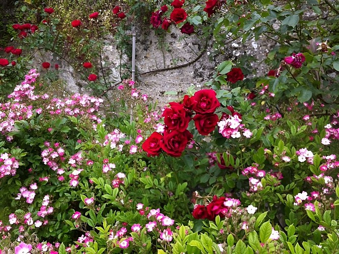 Poilpre-langrune -jardin-800-600