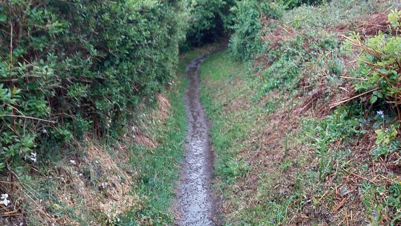 Pointe de l'Armorique | GR34®