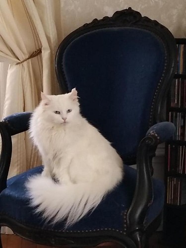 Chambres d'hôte le Manoir des Rochers