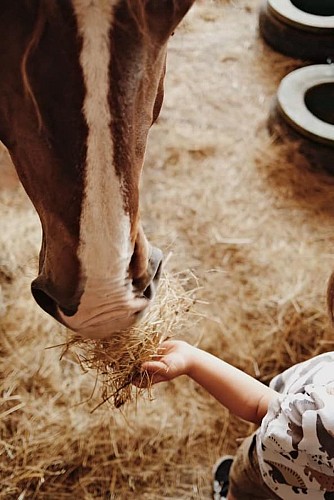 La Perle d'Or_Montreuil le Henri