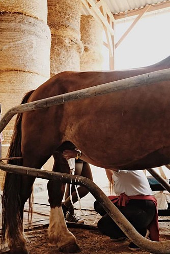 La Perle d'Or_Montreuil le Henri