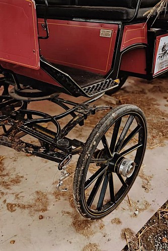 La Perle d'Or_Montreuil le Henri