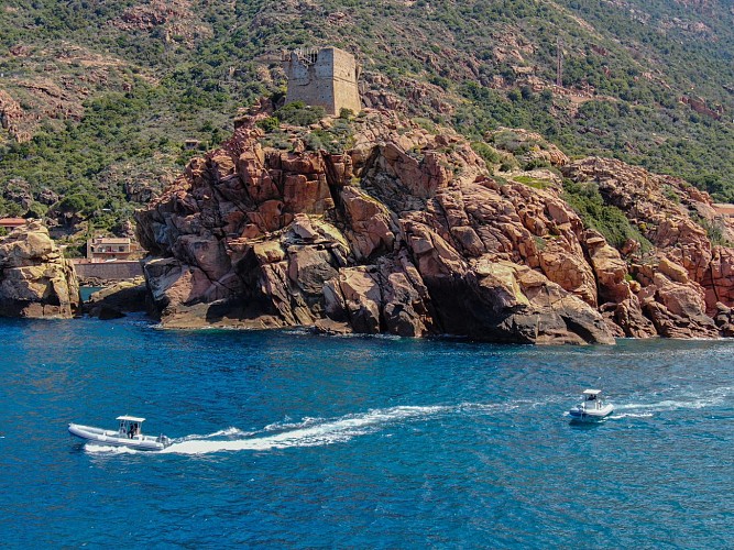 Réserve Naturelle de Scandola