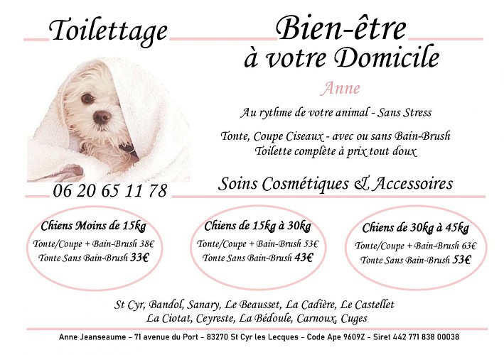Toilettage Bien-être