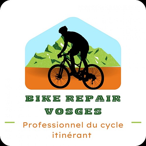 Bike repair Vosges