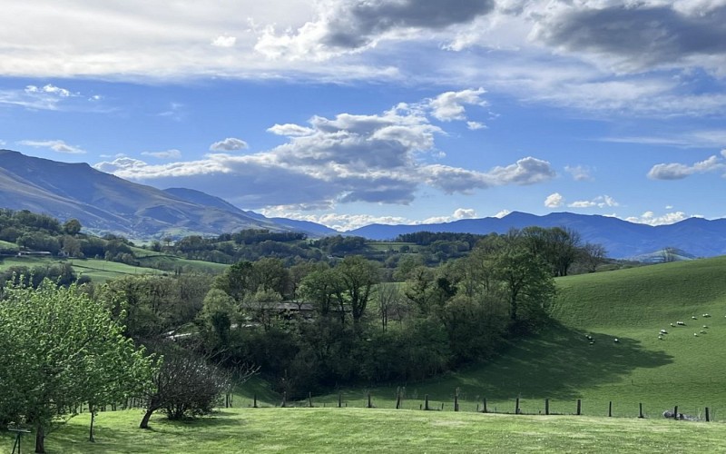 Maison Biscaya-Demange-çaro- vue