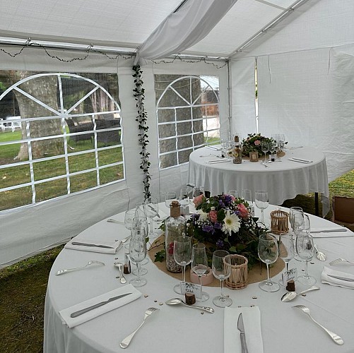 Bettina - House of Flowers and Decoration