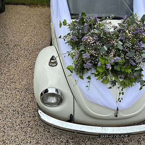 Bettina - House of Flowers and Decoration