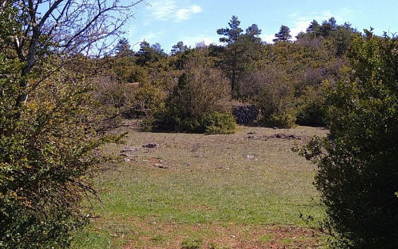 La cazelle depuis la buissière