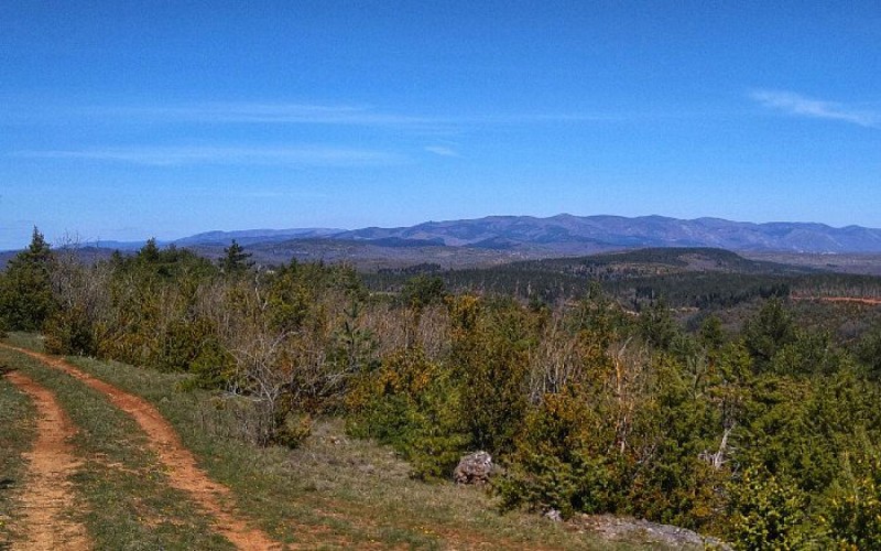 Panorama sur les Cévennes et le Sint-Guiral