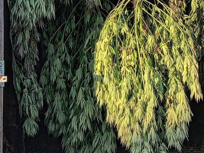 Le Panier Bio du Moulin