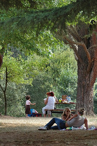 Plage Aménagée de l'étang Aumée