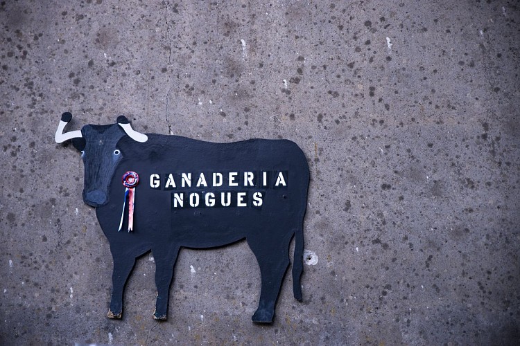 Ganaderia Nogues9 