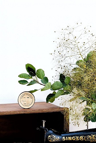 LA MAISON D'HORTENSE