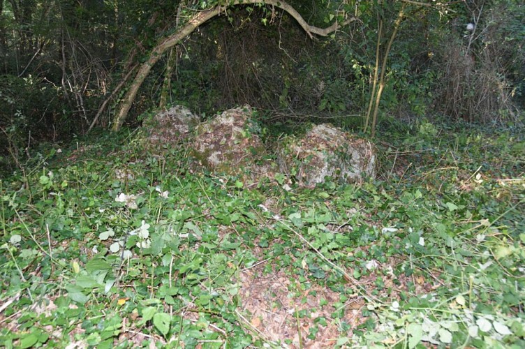 image du object