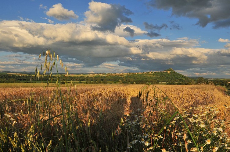 Nonette - Petite Cité de Caractère ®