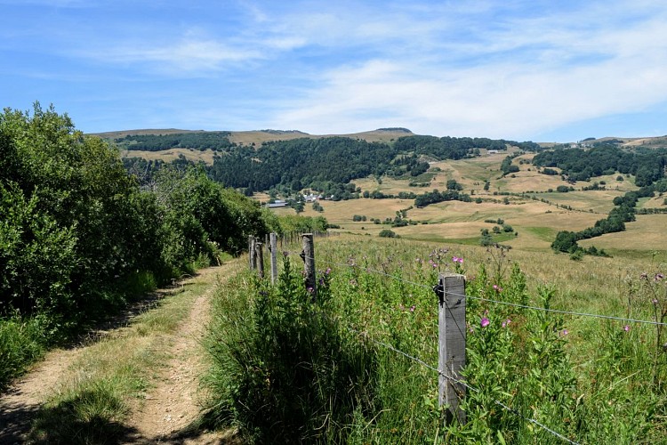 The Signal of Luguet