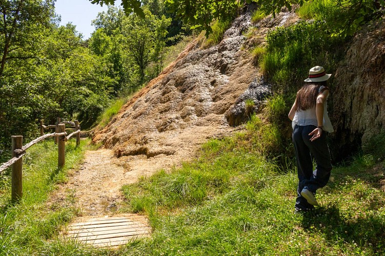 Salt springs of Saurier
