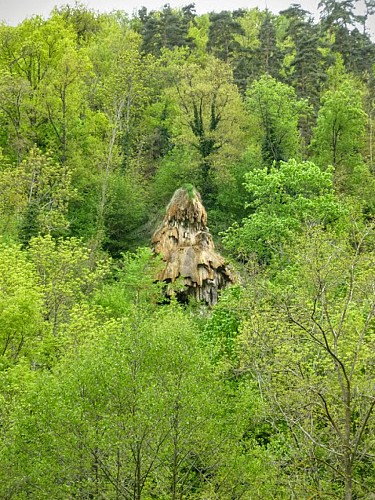 Source salée de la tête de lion