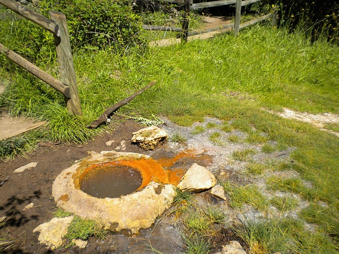 Source romaine de Bard