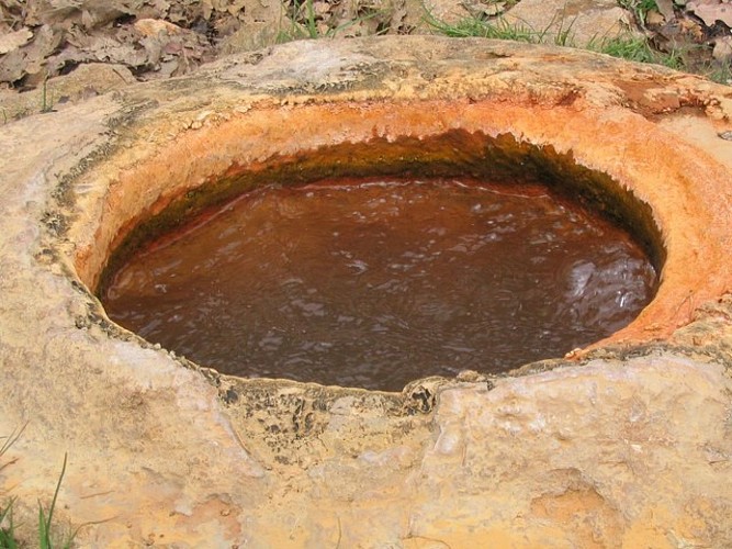 Source romaine de Bard