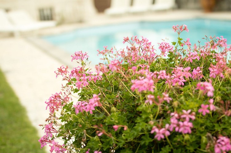 Le Clos Saint Georges - Chambre coquelicots