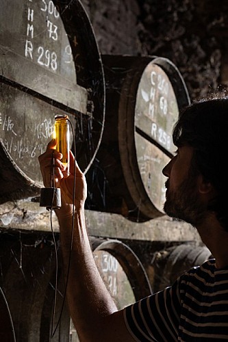 Bourgoin Cognac : Beginner's guide - Secrets of the Cognac.