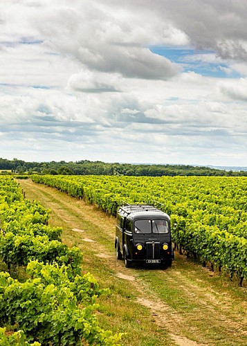 Bourgoin Cognac : Expert - Safari in the vineyard.