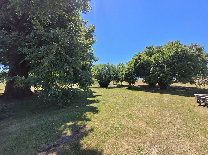 Le Maine n°5 - Chambre Tilleul