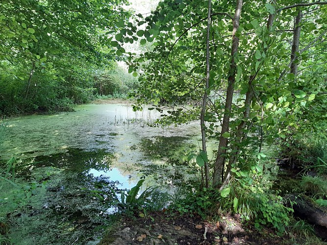 La vallée des Fontenelles