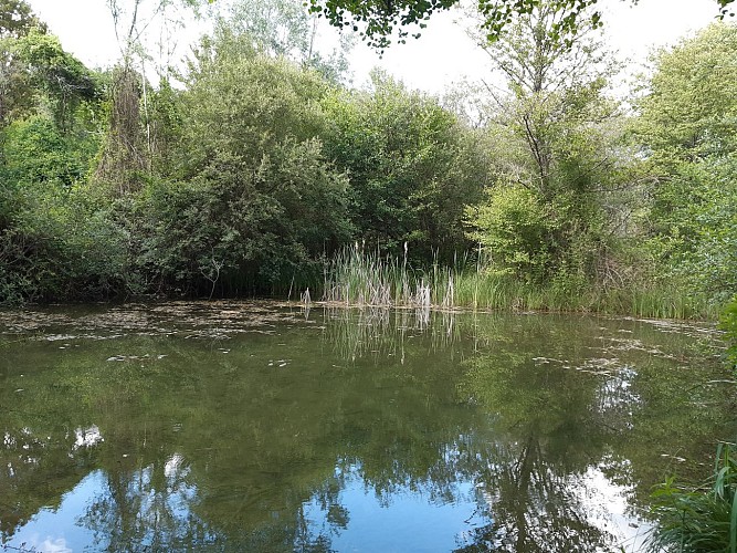 La vallée des Fontenelles