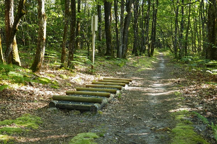 La vallée de l'Échelle