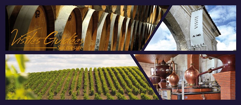 Guided Tour for beginners who love tasting - ABK6 Estate