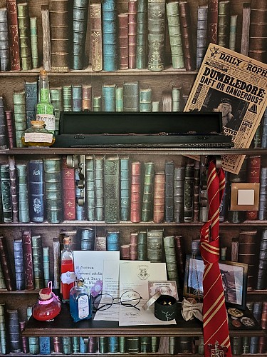 Le Maine n°5 - Chambre Harry Potter
