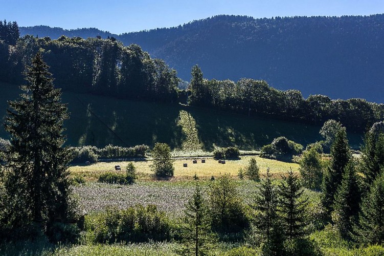 Espace naturel sensible du Marais des Sagnes