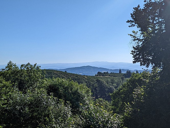 Château de Montfort