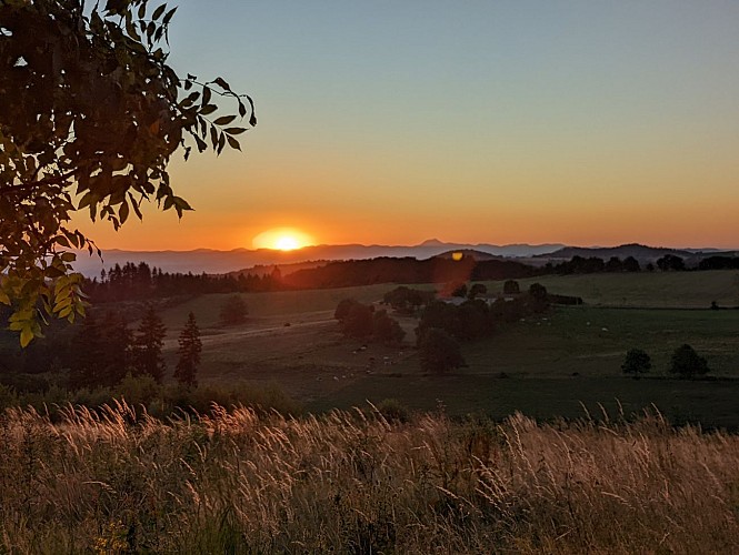 Château de Montfort