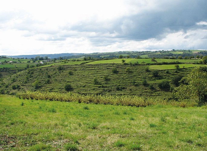 Le vignoble d'Estaing