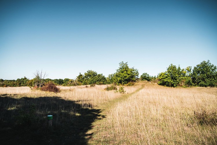 ENS Chaumes du Patouillet