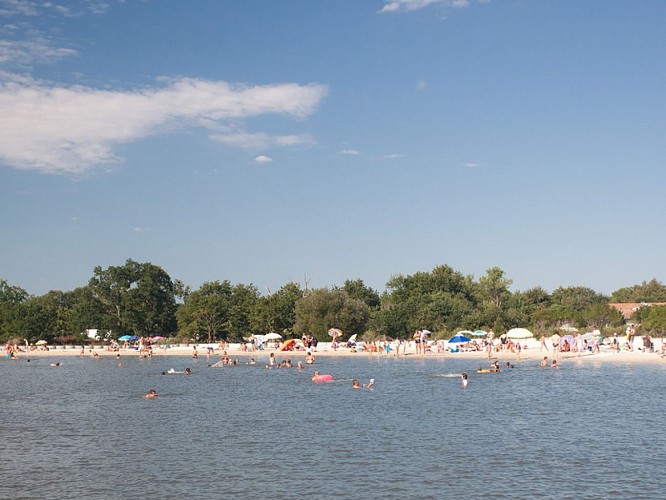 Bassin de baignade - Lanton