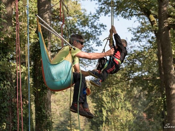 Grimpe d'arbre avec Le dédale des cimes