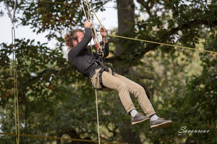 Grimpe d'arbre avec Le dédale des cimes