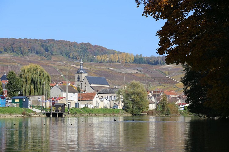 Jardin de vignes : les travaux de la vigne et du vin à Cumières