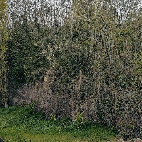 image du object