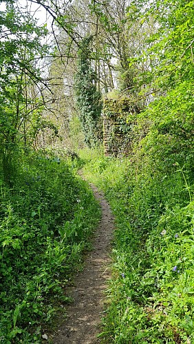 Le village fantôme du Cudet